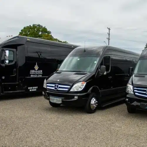 Mercedes Benz Sprinter Limo Rental