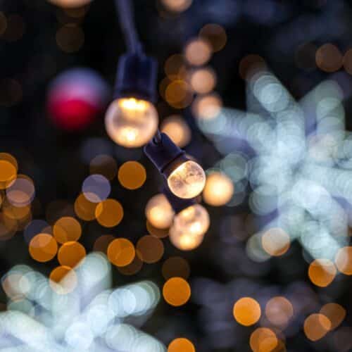 Holiday Lights Tours