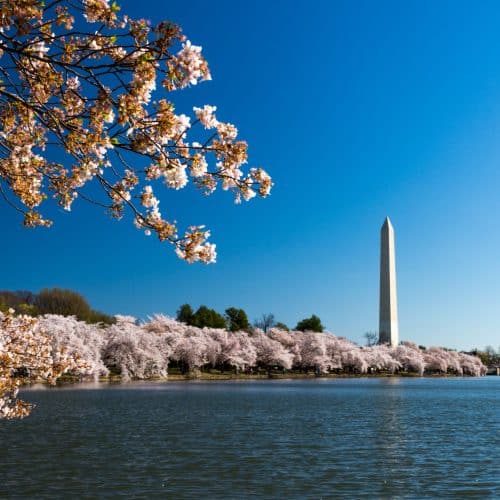 Washington, DC Transportation Services