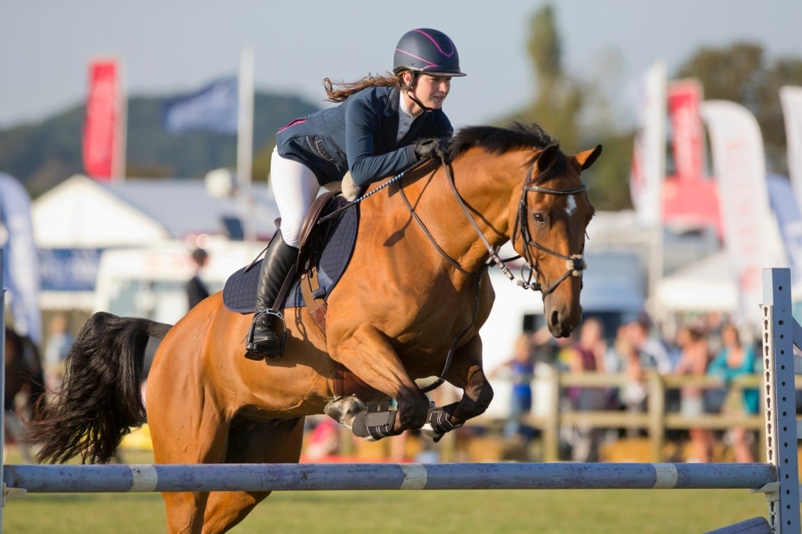 Horse Shows in Alpharetta: Wills Park, the Show Calendar, and Where People Train